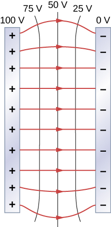 A figura mostra duas placas de metal e as linhas do campo elétrico entre elas. O potencial da placa esquerda é 100V e da placa direita é 0V e existem linhas equipotenciais de 75V, 50V e 25V entre as placas.