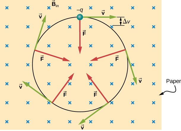 Uma ilustração do movimento de uma partícula carregada em um campo magnético uniforme. O campo magnético aponta para a página. A partícula é negativa e se move em um círculo no sentido horário. Sua velocidade é tangente à circunferência, e a força sempre aponta para o centro da circunferência.