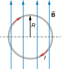 Une boucle de rayon R se trouve dans le plan de la page. La boucle transporte un courant I dans le sens des aiguilles d'une montre et se trouve dans un champ magnétique uniforme qui pointe vers le haut de la page.