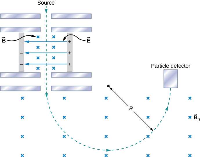 A schematic of the Bainbridge mass spectrometer. Charged particles moving down enter a region with electric field E pointing to the left and magnetic field B pointing into the page. The particle path continues in a straight line until it enters a region with no electric field. The magnetic field here is uniform, into the page, and magnitude B naught. The particle path in this region curves in a counterclockwise circle of radius R until it hits a particle detector.