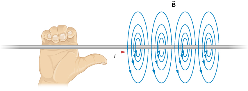 Esta figura demonstra a regra da mão direita. O fio é segurado com a mão direita para que o polegar aponte ao longo da corrente. Os dedos envolvem o fio no mesmo sentido do campo magnético.