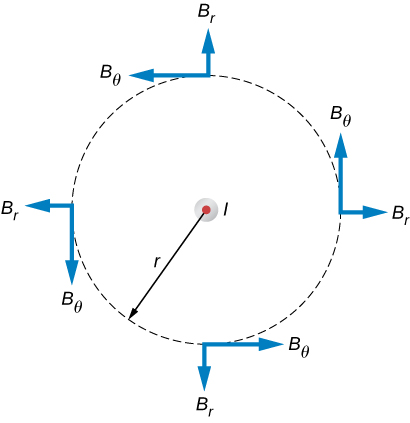 As figuras mostram um fio infinitamente longo, fino e reto com a corrente direcionada para fora da página. Os possíveis componentes do campo magnético neste plano, BR e BTheta, são mostrados em pontos arbitrários em um círculo de raio r centrado no fio.