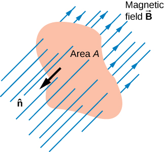 La figure montre un champ magnétique uniforme B traversant une zone de surface A.