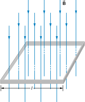 La figure montre une bobine carrée de la longueur latérale l avec N tours de fil. Un champ magnétique uniforme B est dirigé vers le bas, perpendiculairement à la bobine