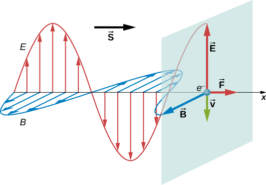 Une onde électromagnétique se propage dans la direction x positive. Son champ électrique est représenté sous la forme d'une onde sinusoïdale dans le plan xy et son champ magnétique est représenté sous la forme d'une onde sinusoïdale dans le plan xz. Un vecteur S pointe dans la direction de propagation. Un électron est représenté sur l'axe X. Quatre vecteurs proviennent d'ici. Le vecteur E pointe dans la direction y positive, le vecteur B pointe dans la direction z positive, le vecteur F pointe dans la direction x positive et le vecteur v pointe dans la direction y négative. E et B sont de longueur égale. F et v sont de longueur égale et plus petits que les deux autres.
