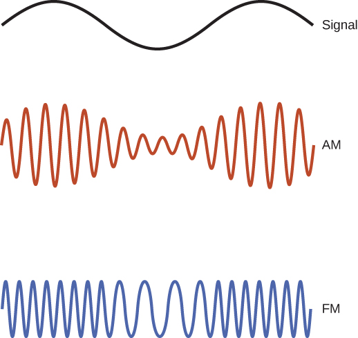 A figura mostra três ondas senoidais. O primeiro, identificado como sinal, tem um comprimento de onda maior do que os outros dois. O segundo, denominado AM, tem sua amplitude modificada de acordo com a amplitude da onda do sinal. O terceiro, denominado FM, tem sua frequência modificada de acordo com a amplitude da onda do sinal