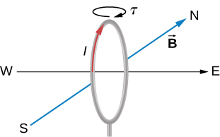 A vertical circular loop is shown along with the compass directions. The axis (perpendicular to the plane of the loop) is on the east-west line. The magnetic field points north. The current in the loop is circulates clockwise as viewed from the east. The torque on the loop is clockwise as viewed when looking down at the top of the loop.