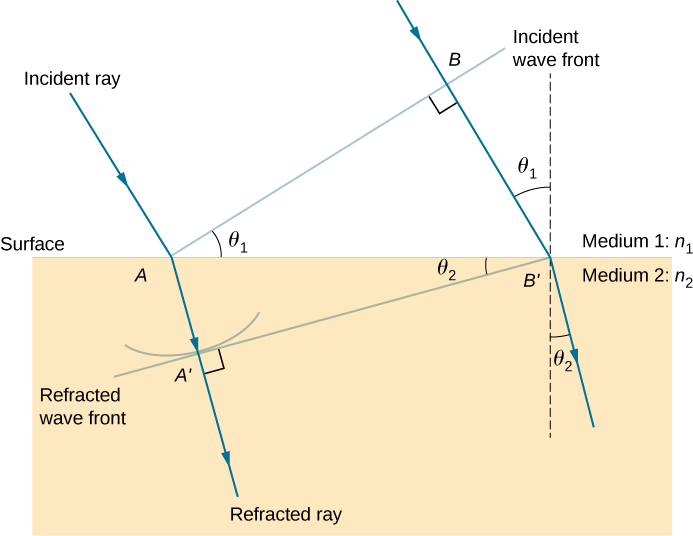 This figure illustrates the geometry of the refraction of the rays and wave fronts. A horizontal surface is present between medium 1, with index of refraction n 1, and medium 2, with index of refraction n 2. An incident ray is shown coming in from medium 1 into medium 2. It hits the surface at point A and refracts toward the normal in medium 2. A line, labeled incident wave front, is drawn from point A extending away from the surface, perpendicular to the incident ray. The angle between the incident wave front and the surface is theta 1. A second incident ray is drawn parallel to the first one. This ray intersects the incident wave front at a point labeled as B and hits the surface at a point labeled as B prime. A dashed line is drawn perpendicular to the surface at B prime. The angle between this perpendicular line and the second ray is also theta one. The triangle formed by A, B, and B prime is a right triangle with angle theta one at A and a right angle at B. The refracted rays at A and B prime bend down, toward the downward perpendiculars to the surface, making an angle of theta two with the vertical direction. The refracted wave front that is perpendicular to the refracted rays and that hits the surface at B prime is drawn. This wave front hits the refraction of the first incident ray at a point marked A prime and makes an angle of theta two with the surface.