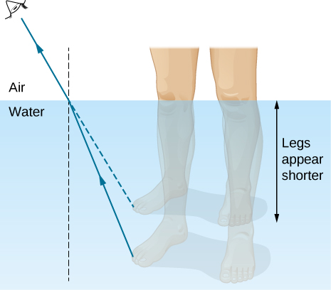 该图说明了水下腿部图像的形成，正如观众在水面上空中看到的那样。 图中显示了一条射线离开腿部并在水空气界面处折射。 折射的光线偏离法线。 将折射的光线推回水中，外推的光线位于实际射线的上方，因此腿部的图像位于实际腿的上方，腿部看起来更短。