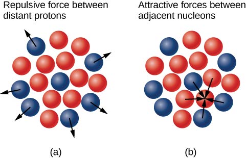 图 a 显示了一组红色和蓝色的小圆圈。 中心有一个蓝色的质子，周围环绕着红色中子。 外围有更多的质子，它们的箭头指向外部。 图 b 显示了同一个集群。 箭头显示质子和中子都被吸引到相邻的中子上。