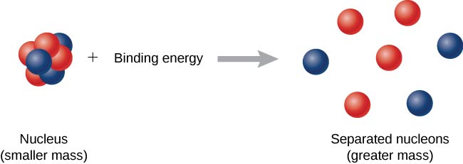 A figura mostra uma reação. O LHS mostra um núcleo mais energia de ligação. Esse núcleo é um aglomerado de prótons e nêutrons compactados e tem uma massa menor rotulada. No RHS há um núcleo com prótons e nêutrons frouxamente compactados, nucleons marcados e separados, maior massa.