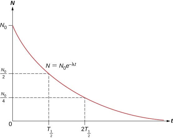 Um gráfico de N versus t é mostrado. É rotulado como N igual a N subscrito 0 e à potência menos lambda t. O valor de N é máximo, N subscrito 0, em t =0 e reduz com o tempo até atingir 0. Em t = T metade subscrita, N = N subscrito 0 por 2 e em t = 2T metade subscrita, N = N subscrito 0 por 4.
