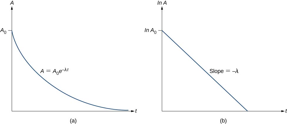 图 a 显示了 A 与 t 的对比图。它从 A 点下标 0 开始，随着时间的推移逐渐减小。 缩减率缓慢降低，直到 A 非常接近 0，从而在图形上生成曲线图。 该图被标记为 A = A 下标 0 e 减去 lambda t。图 b 显示了 ln A 与 t 的对比图。它从 ln A 下标 0 开始，沿直线向下倾斜。 直线的斜率被标记为减去 lambda t。