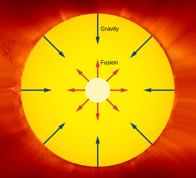 A figura mostra o Sol como um círculo e o núcleo do Sol como um círculo concêntrico menor dentro dele. As setas denominadas fusão irradiam para fora do núcleo. As setas denominadas gravidade irradiam para dentro da superfície.