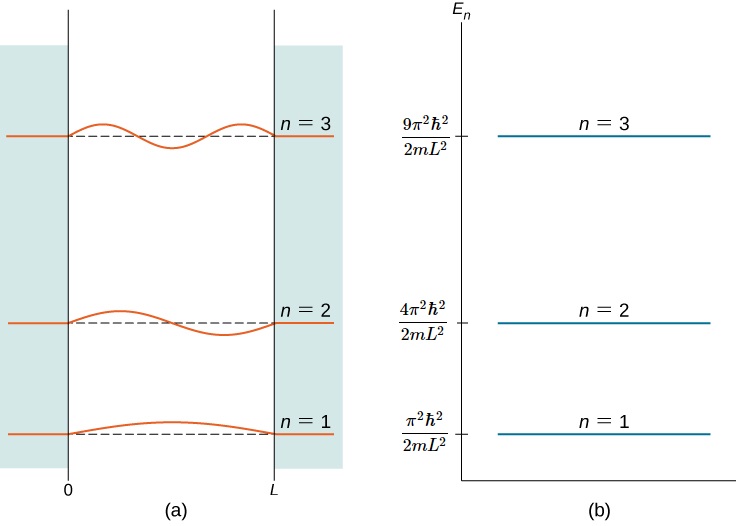 显示了主量子数 n=1、n=2 和 n=3 的盒子中量子粒子的前三个量子态：图 (a) 显示了驻波解的图表。 垂直轴是波函数，每个状态都有单独的原点，与图 (b) 中的能量尺度对齐。 水平轴是 x，从刚好低于 0 到刚过 L。图 (b) 显示了垂直 E sub n 轴上每个状态的能量。 如果 x 小于 0 且 x 大于 L，则所有波函数均为零。n=1 函数是波长 2 L 正弦函数的前半波，其能量为 pi 平方乘以 2 m L 平方的量。 n=2 函数是波长 2 L 正弦函数的第一个全波，其能量为 4 pi 平方乘以 h 平方除以 2 m L 平方的量。 n=3 函数是波长 2 L 正弦函数的前一个半波，其能量为 9 pi 平方乘以 h 平方除以 2 m L 平方的量。