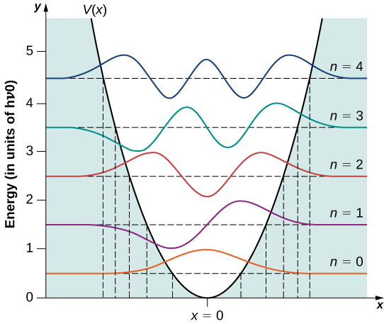 显示了 x 的谐波势 V 和电位的 n=0 到 n=4 量子态的波函数。 每个波函数都由其能量垂直移动，以 h nu sub zero 为单位测量。 垂直能量等级从 0 到 5 不等。 x 的电位 V 是一个向上开口的抛物线，在 x = 0 处居中并等于零。 曲线下方的电位之外的区域被阴影遮蔽。 能量水平由水平虚线表示，间隔规律，能量为 0.5、1.2、2.5、3.5 和 4.5 h nu sub 0。 n=0 状态为偶数。 它是对称的，正值并在 x=0 处达到峰值。 n = 1 的状态很奇怪。 x 小于零时为负，x 大于零时为正，原点为零。 它有一个负最小值和一个正最小值。 n=2 状态为偶数。 它是对称的，在 x=0 处有一个负最小值和两个正最大值，一个在正 x 处，另一个在负 x 处。n = 3 的状态是奇数。 它在原点为零。 从左到右，它在原点左侧有负最小值和正最大值，然后在原点右侧有正最大值和负最小值。 n=4 状态为偶数。 它在原点有一个最大值，两边都有一个负的最小值，在最小值之外有一个正最大值。 所有状态在阴影区域显然都是非零的，当 x 变为正负无穷大时，它们渐近变为零。 最小值和最大值都在电位之内，在无阴影区域。 垂直虚线显示 x 的值，其电位等于状态的能量，也就是说，水平虚线与 x 曲线的 V 交叉。