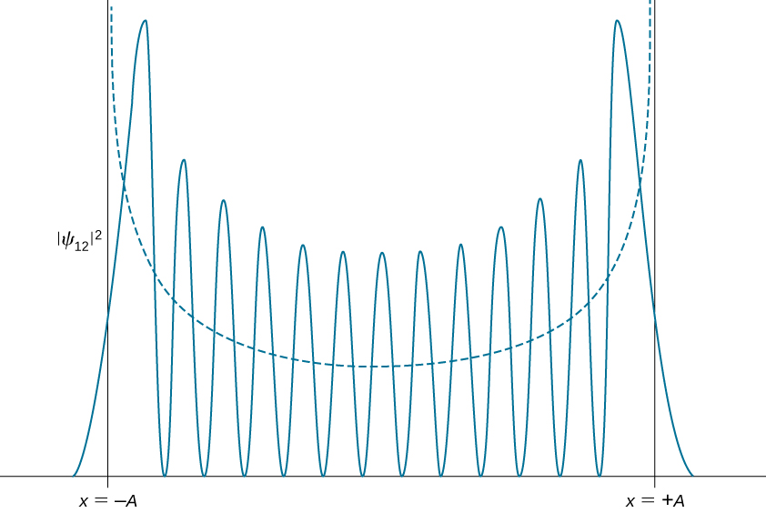 The probability density distribution amplitude squared of Psi sub 12 for the quantum harmonic oscillator is plotted as a function of x as a solid curve. The curve has 13 peaks with 12 zeros between them and goes asymptotically to zero at plus and minus infinity. The amplitude of the peaks is lowest at the center and increases wit distance from the origin. All of the peaks are between x=-A and x=+A. The dashed curve which shows the probability density distribution of a classical oscillator with the same energy is a smooth upward opening curve.