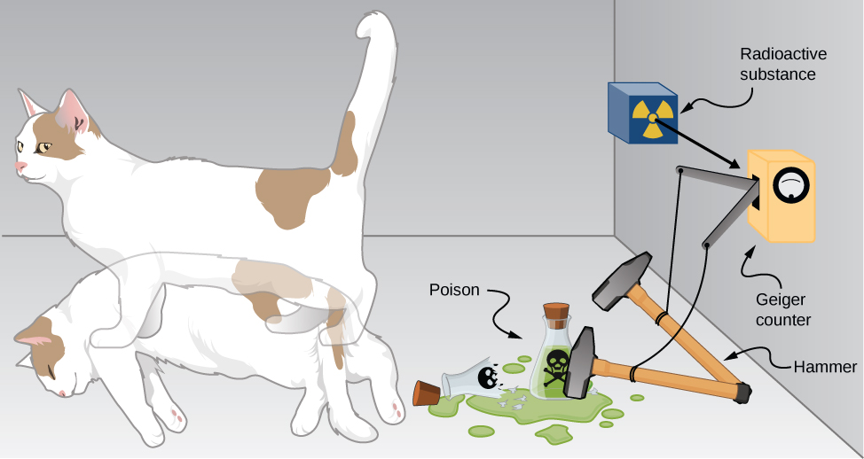 The Schodinger cat thought experiment, consisting of a Geiger counter, a vial of poison, a hammer, a radioactive substance, and a cat is illustrated. Each is shown in two states: The Geiger counter triggered and untriggered, the hammer up and down, the poison vial whole and broken, and the cat alive and dead.